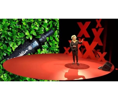 Muuhlloa en TEDx Galicia